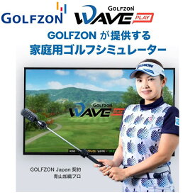 GOLFZON WAVE PLAY 家庭用 ゴルフシミュレーター ゴルフゾン ウェーブプレイ シミュレーション【あす楽対応】