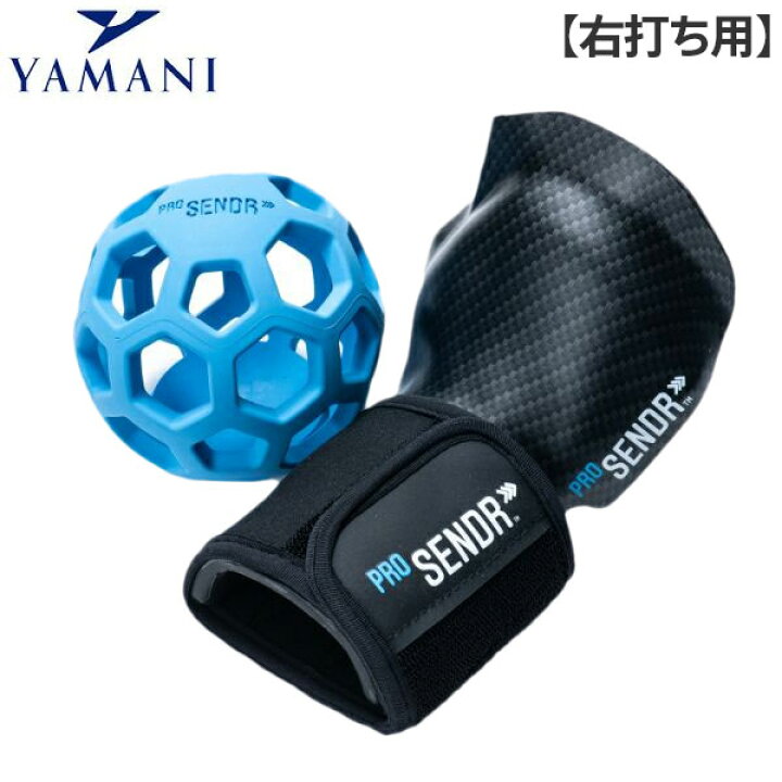 楽天市場】【右打ち用】ヤマニ ゴルフ プロセンダー 練習器具 マルチ 