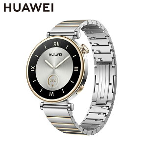 y݌Ɉ|zt@[EFC WATCH GT4 41mm ARA-B19 Stir@\ X}[gEHb` Vo[