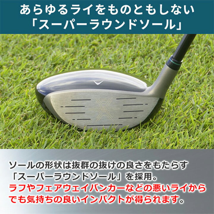 楽天市場】[レビュー投稿でクーポン進呈]【期間限定ポイント10倍  