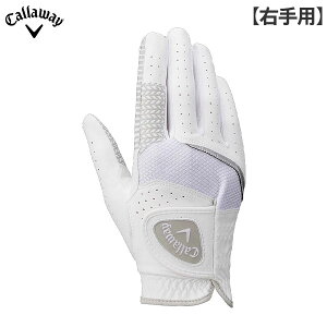 y/EpzLEFC St nCp[ Obv StO[u zCg