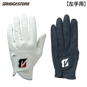�y��������/����p�z�u���a�X�g�� �c�A�[ �S���t�O���[�u GL2602