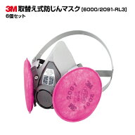【お得なまとめ買い商品】3M(スリーエム)取替え式防じんマスク 6000/2091-RL3 6個セット|区分RL3 国家検…