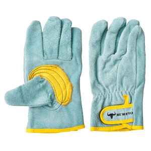 BUREVO@SR-004iIC}WbNj 10g(E1g) Ȃ܂Ƃߔi