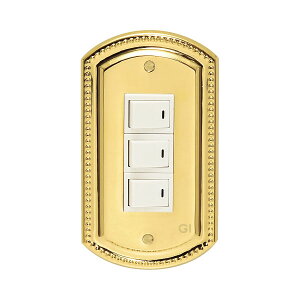 �X�C�b�`�v���[�gPB-03-PVD-B�S�[���L�A�C�����h�^�J���i 790083