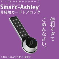 楽天市場】キュリオロック セットの通販