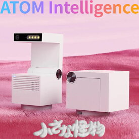 ATOM Cam GPT