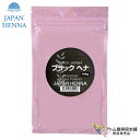 送料無料！ジャパンヘナ 人工染料入りヘナ ブラック 100g（雑貨タイプヘナ）ウィッグ 毛先のカラーリング ジアミン入り 人工染料混合 業務用 サロン用 カラー トリートメント JAPAN HENNA