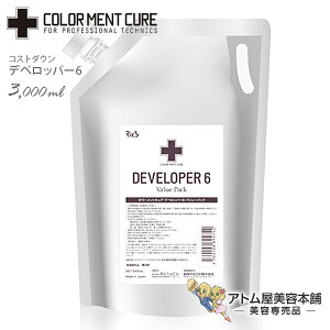 Ric'S ���b�N�X �J���[�����g�L���A �f�x���b�p�[6 3000ml �J���[2�܁y�p�[�} �J���[ �v���d�l �T�����ꔄ ���e�ꔄ ���e�� �T�����w�A�P�A �Ɩ��p �R�X�g�_�E�� ��R�X�g COLOR MENT CURE FOR PROFESSION