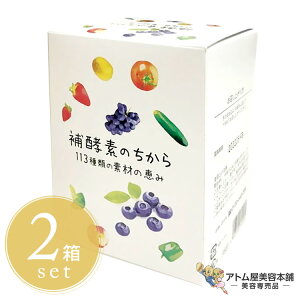 補酵素のちから ペースト 113種類の素材の恵み 2箱セット(8g×30包×2箱)ペーストタイプ 健康サポート 健康サプリメント 健康維持 栄養補給 健康管理 乳酸菌 酵母菌 食物繊維 補酵素の力 対