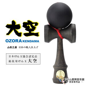 IR`H[   STREET ubN{ʋF ZpʁXg[gubN \bhJ[ Eldグ Yi { 񂾂 P_} ʐEl V