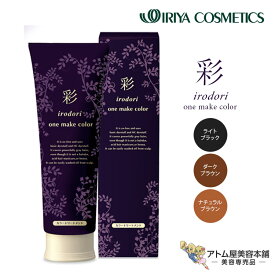イリヤ 彩ONE メイクカラー 250g（ライトブラック／ダークブラウン／ナチュラルブラウン）カラートリートメント 白髪 白髪染め 白髪カバー 白髪隠し ヘアカラー剤 毛染め 理髪店 美容師 理容師 アレルギー レディース メンズ 男性 女性 男女兼用 美容室専売品 サロン専売品