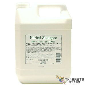 Ԑ n[oVv[ CXg^Cv 4000ml _[W  ⋋ ΍ \h PA wAPA AA~m_nVv[ e e  o[o[ T eꔄ Tꔄ e