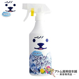 ひんやりシャツシャワーS 衣類専用 500ml【ひんやり シャツ メントール 冷涼感 涼感 消臭 清涼感 ミント スプレー ときわ商会】
