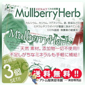 【送料無料！お得な3個セット！】EXTRACT くわの葉茶 マルベリーハーブ 4g×60包【桑の茶 葉 桑茶 健康茶 美容 マルベリー ダイエット ダイエットドリンク ダイエットティー 美肌 健康維持】