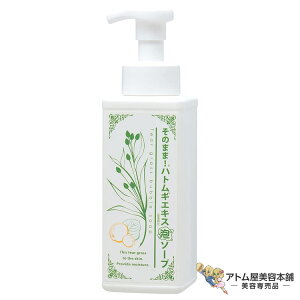 ̂܂! ngMGLXA\[v b` 500ml XLPA  A p ь PA CNƂ  r  jLr \h ΍ ی C Wsv e { Y eꔄ T