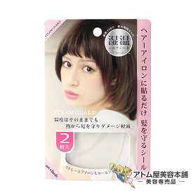 楽天市場 ヘアアイロン シートの通販