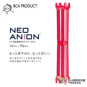 NEO ANION EX 国家試験対応サイズ 10本入(12mm×84mm)パーマロッド ボリュームロッド 巻き髪 ウェーブ 人気 定番 ロングセラー 美容室 理容室 床屋 バーバー サロン 理美容専門学校 美容専売 サロ