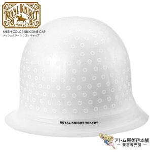 bVJ[ VRLbv MCSC100ipLBj wAJ[ ZtJ[ ȒP e e  X o[o[ T Ɩp eꔄ Tꔄ Roy