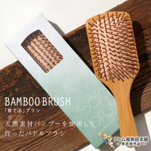 �o���u�[�u���V BAMBOO BRUSH �p�h���u���V �w�A�P�A �_���[�W�y�� �є� ���� �� �c�� �Ód�C �p�T�� �΍� �\�h �P�A �ی� �}�� ��Ă�u���V �V�R�f�� �| ����P�A �n���P�A �X�J���v�P�A �u��