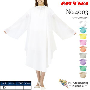 JgA No.4003 \u[푳tz JbgNX U H H ͎ÓdCh~H { Ɩp vp e e  e Ɩp vp T o[o[ e