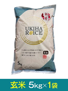 yߘa7NY VāzuЂ̂ЂvāE5kg×1܁Y ō5,660~i800~j{̉i1܂ō4,860~