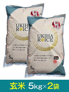 yߘa7NY VāzuЂ̂ЂvāE5kg×2܁Y ō10,520~i800~j{̉i1܂ō4,860~