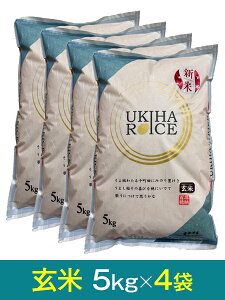 yߘa7NY VāzuЂ̂ЂvāE5kg×4܁Y ō15,380~i800~j{̉i1܂ō4,860~