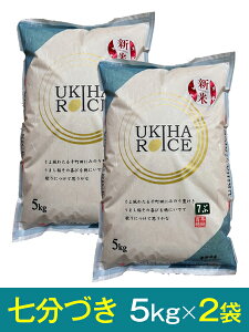 yߘa7NY VāzuЂ̂Ђv7ÂE5kg×2܁Y ō10,520~i800~j{̉i1܂ō4,860~