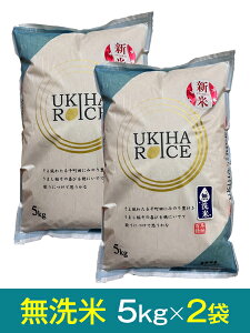 yߘa7NY VāzuЂ̂ЂvāE5kg×2܁Y ō11,168~i800~j{̉i1܂ō5,184~