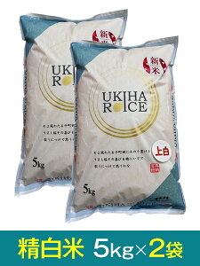 yߘa7NY VāzuЂ̂ЂvāE5kg×2܁Y ō10,520~