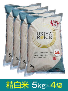 yߘa7NY VāzuЂ̂ЂvāE5kg×4܁Y ō20,240~i800~j{̉i1܂ō4,860~