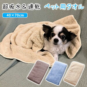 ybg^I ybgp oX^I z  }CNt@Co[ 40×70cm  L 炾@ U Vv[̌ z Ȃ߂炩 G肪 b` z͔Q V  