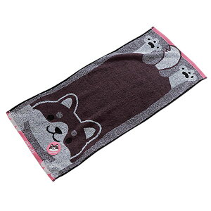 tFCX^I ^I  ʂ ÔQ WK[h ̂ѓ g ig  Ck  킢  Č ΂ 100 ӂ _炩 G z ۈ牀 ct