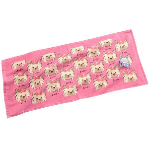 tFCX^I [[ [h 킢 ^I 100% [L[ [NV[EeA CXg ۈ牀 ct  j Vw 