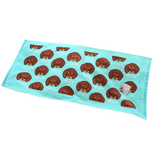 tFCX^I  [h 킢 ^I 100% ۈ牀 ct  j Vw 