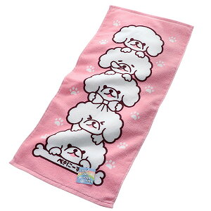 tFCX^I ؂Ɂ[ c~c~ 킢 yLj[Y ^I 100% ۈ牀 ct  j Vw 