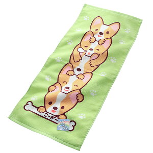 tFCX^I [[ c~c~ 킢 R[M[ ^I 100% ۈ牀 ct  j Vw 