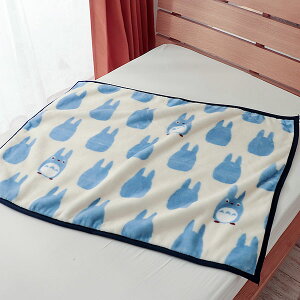 Ђ| ƂȂ̃gg ggVGbg Wu uPbg xr[Pbg 킢  Ђ QPbg 70×100cm G|  ۈ牀 ct  j Vw  