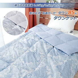 羽毛肌掛け布団 ダウン85％ ダウンケット 洗える ウォッシャブル シングル 春用 夏用 秋用 羽毛肌掛けふとん 羽毛布団 羽毛ふとん 日本製 お中元 夏ギフト 冷感敷きパッド付