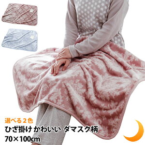 y|Cg5{z hV̓ Ђ| 킢 uPbg _}XN 70×100cm [΍ ₦ GAR΍