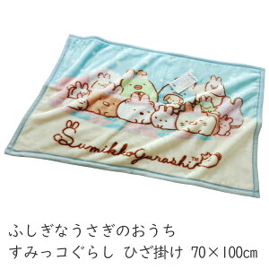 Ђ| ѕz ݂R炵 ӂȂ̂ uPbg xr[Pbg 킢  Ђ QPbg 70×100cm G|  ۈ牀 ct  j Vw  