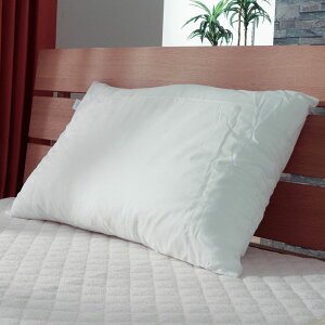 pCv  43×63cm |GXe ܂ s[ y ʋC 􂦂 qp Aȗp  h {