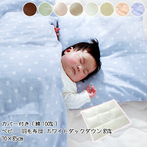 xr[zc |zc Hѕzc 70×85cm zCg_bN_E85% Jo[t (K[[ 100%) ԂQ