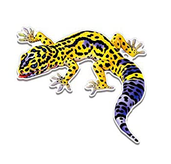 楽天市場】leopard geckoの通販
