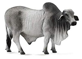 【中古】【輸入品・未使用】コレクタ　88579　ブラフマン　オス　Brahman Bull