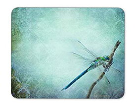 【中古】【輸入品・未使用】ABin Vintage Shabby Chic Background with Dragonfly Mouse pad Mouse Pad The Office Mat Mouse Pad Gaming Mousepad Nonslip Rubber Backing