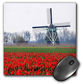 【中古】【輸入品・未使用】3dRose Mouse Pad Netherlands Old Wooden Windmill in a Field of Red Tulips 8 x 8' (mp_277706_1) [並行輸入品]