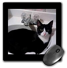 【中古】【輸入品・未使用】3dRose Mouse Pad Cute Black White Tux Cat Curled Up in Sink Photo - 8 by 8-Inches (mp_242428_1) [並行輸入品]