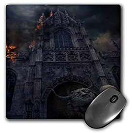 【中古】【輸入品・未使用】3dRose Mouse Pad Unus Cathedral Suffers Fire Damaged Surreal Image with Eerie and Mysterious Mood - 8 by 8-Inches (mp_24246_1) [並行輸